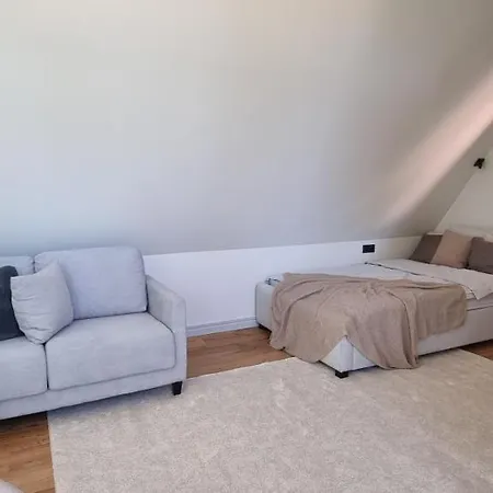 Vallikraavi Penthouse Apartman