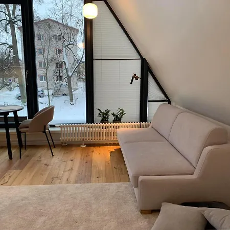 Vallikraavi Penthouse 塔尔图